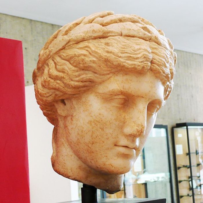 Photo de Musée Archéologique Théo Desplans