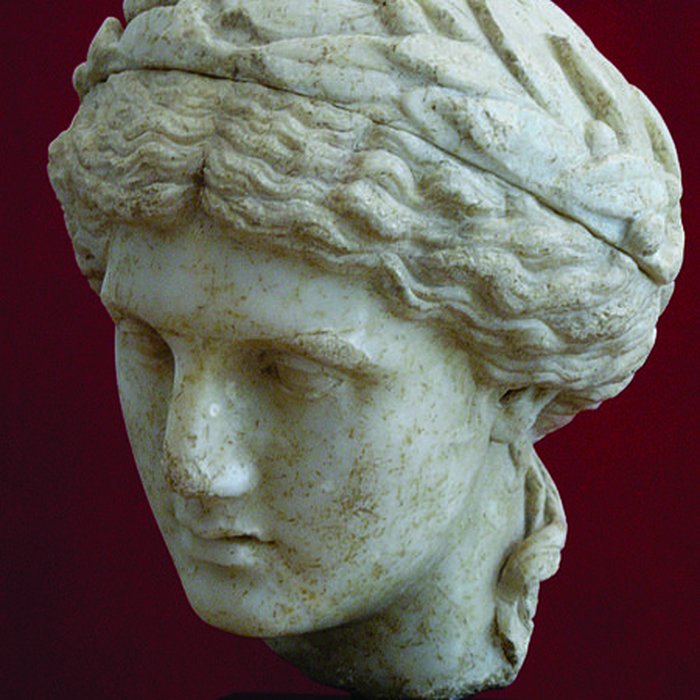 Photo de Musée Archéologique Théo Desplans