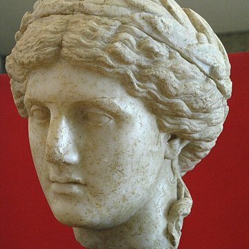 Musée Archéologique Théo Desplans