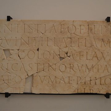 Musée Archéologique Théo Desplans