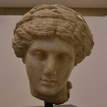 Musée Archéologique Théo Desplans