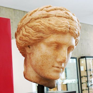 Musée Archéologique Théo Desplans