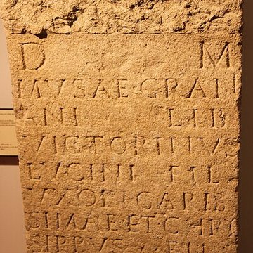 Musée Archéologique Théo Desplans