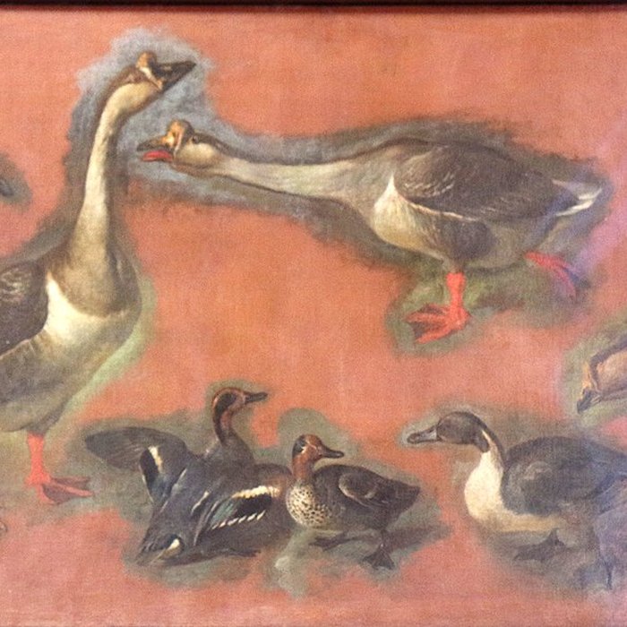 Photo de Bibliothèque-musée Inguimbertine