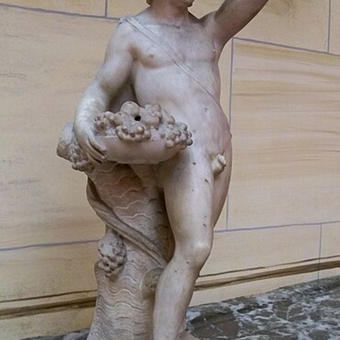 Photo de Bibliothèque-musée Inguimbertine