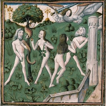 Bibliothèque-musée Inguimbertine