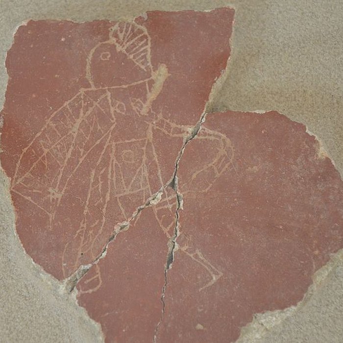 Photo de Musée municipal