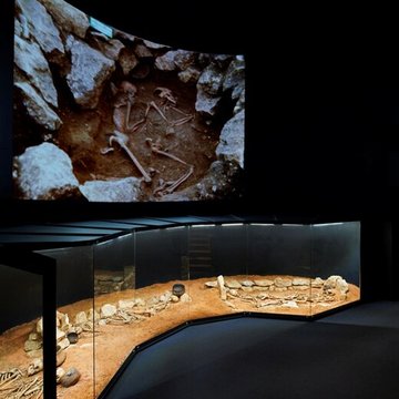 Historial de la Vendée