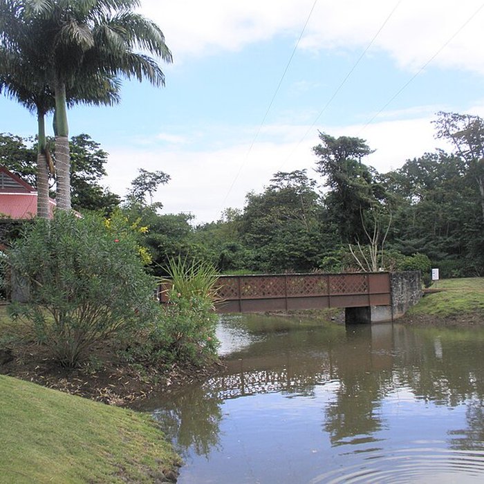 Photo de Maison de la canne