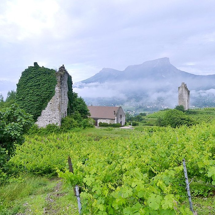 Photo de Tours de Chignin