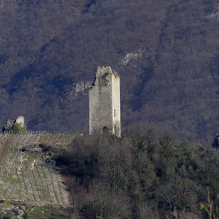 Photo de Tours de Chignin