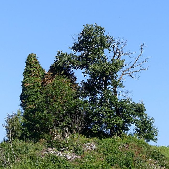 Photo de Tours de Chignin