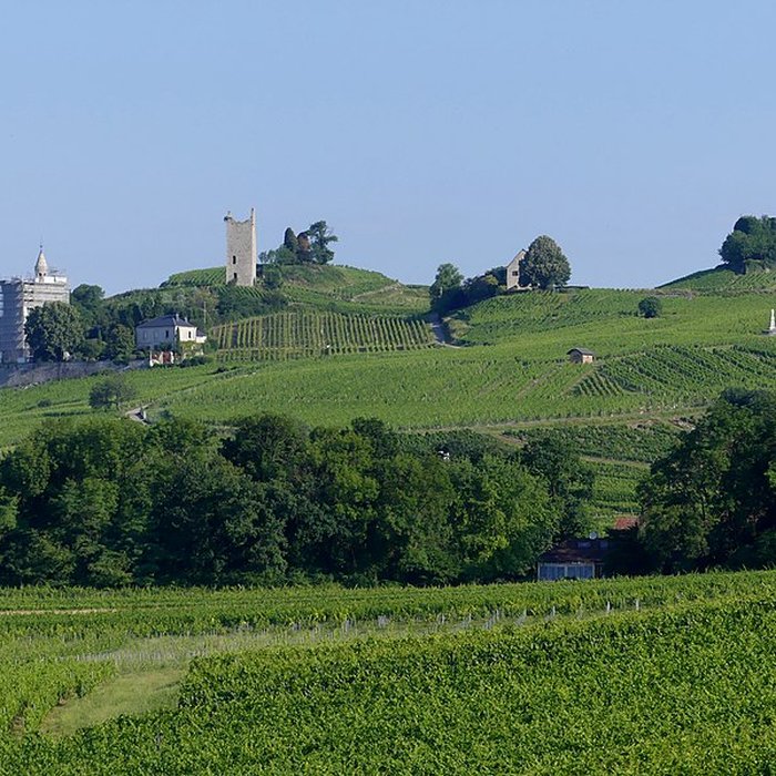 Photo de Tours de Chignin