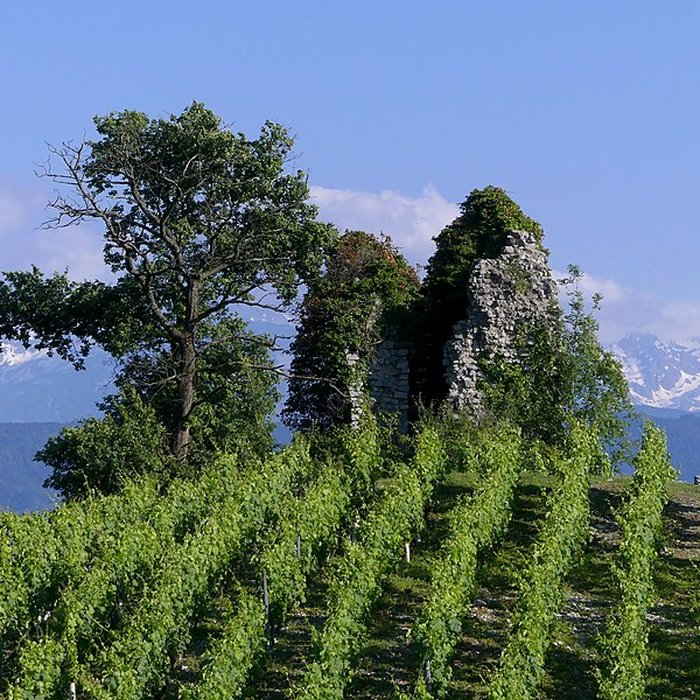 Photo de Tours de Chignin