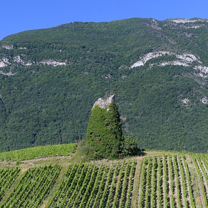 Photo de Tours de Chignin