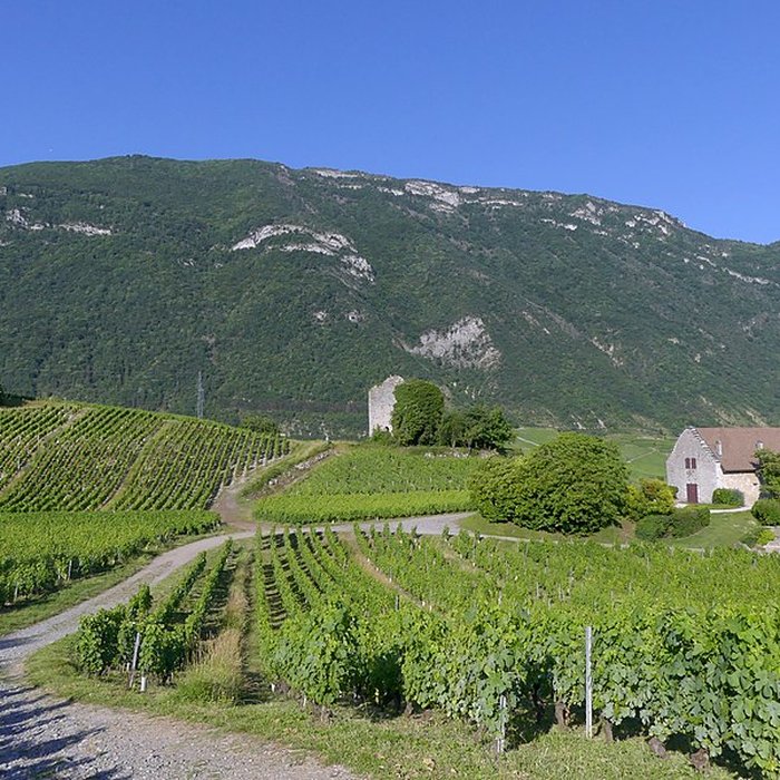 Photo de Tours de Chignin