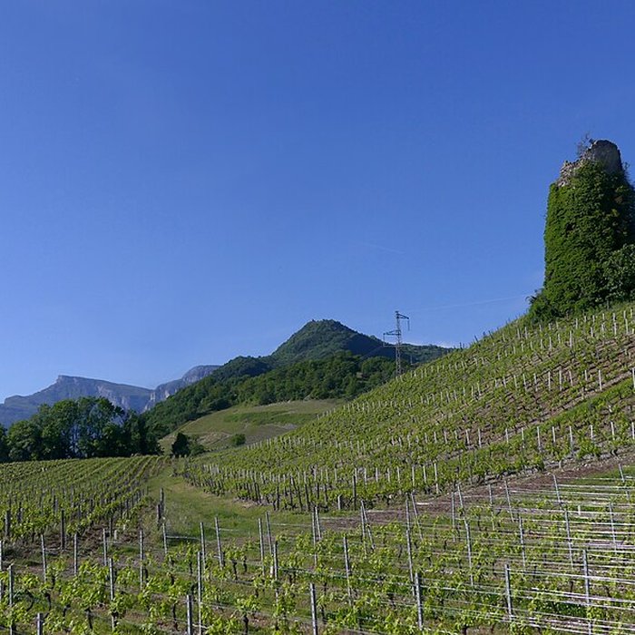 Photo de Tours de Chignin