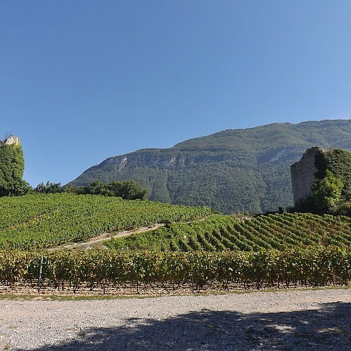 Photo de Tours de Chignin