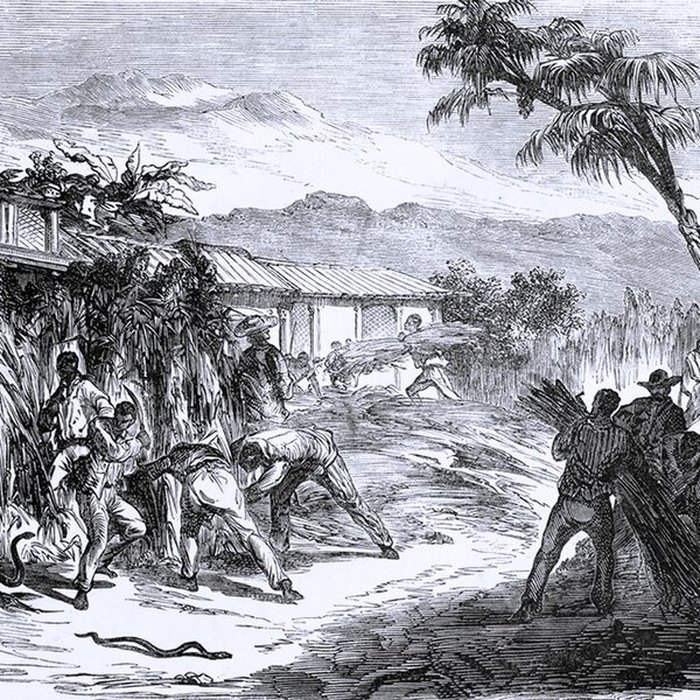 Photo de Musée Léon Dierx