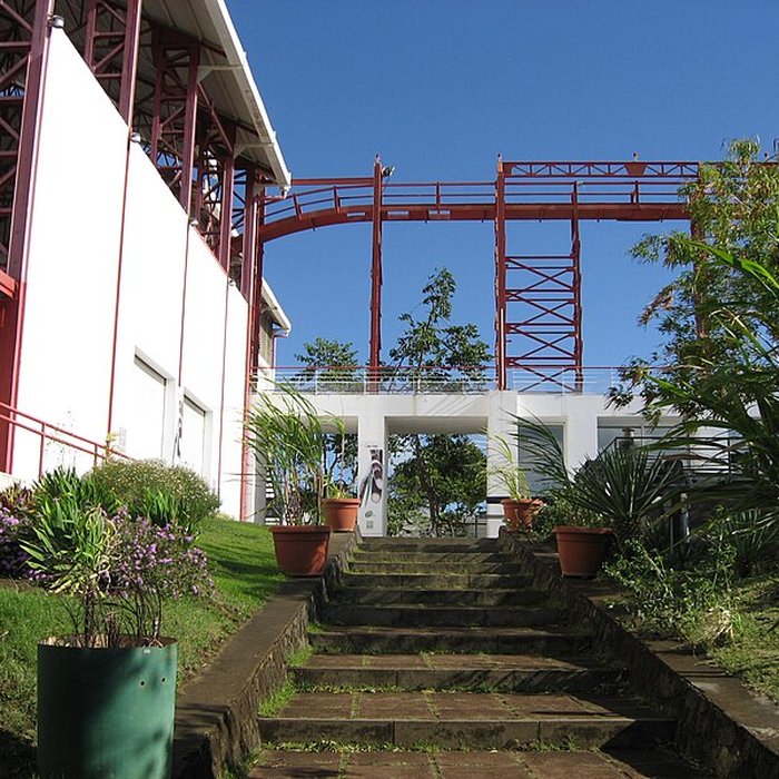 Photo de Muséum Agricole et industriel - Stella matutina