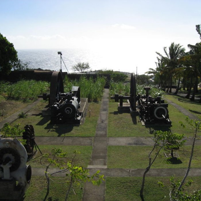 Photo de Muséum Agricole et industriel - Stella matutina