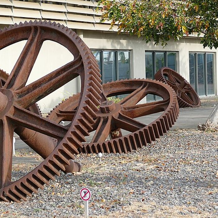 Photo de Muséum Agricole et industriel - Stella matutina