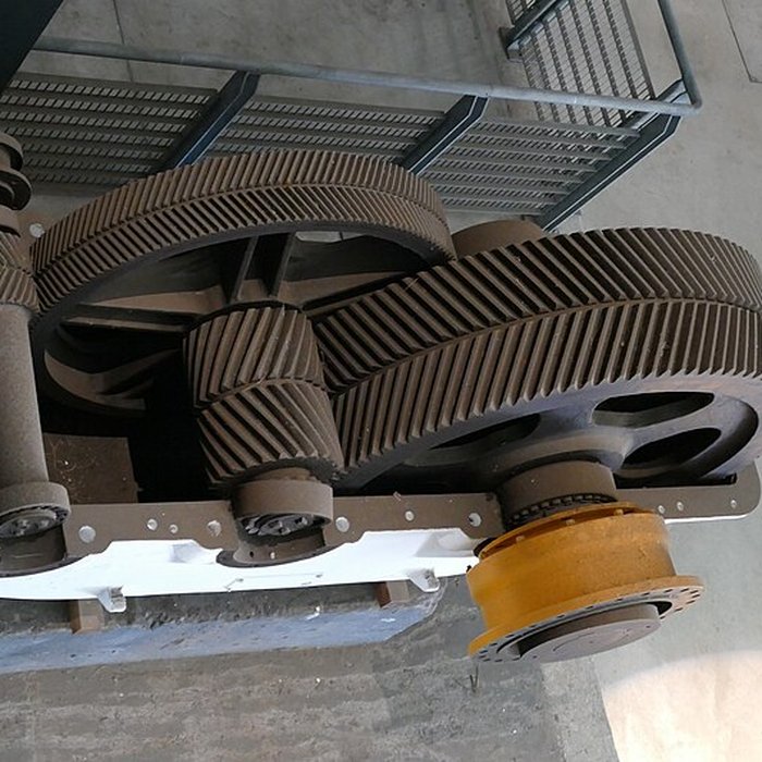 Photo de Muséum Agricole et industriel - Stella matutina