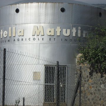 Muséum Agricole et industriel - Stella matutina