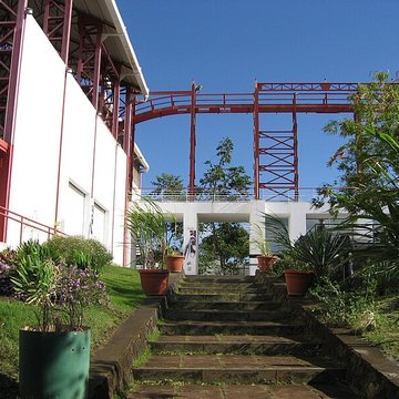 Muséum Agricole et industriel - Stella matutina