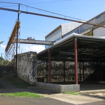 Muséum Agricole et industriel - Stella matutina