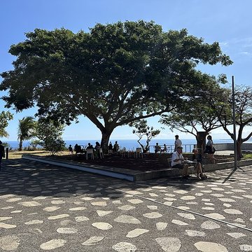 Muséum Agricole et industriel - Stella matutina