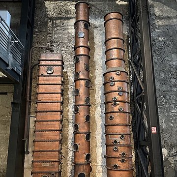 Muséum Agricole et industriel - Stella matutina