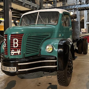 Muséum Agricole et industriel - Stella matutina