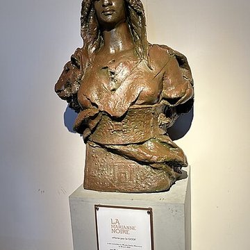 Muséum Agricole et industriel - Stella matutina