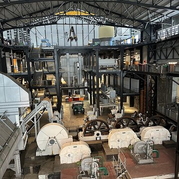 Muséum Agricole et industriel - Stella matutina
