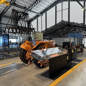 Muséum Agricole et industriel - Stella matutina