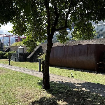 Muséum Agricole et industriel - Stella matutina