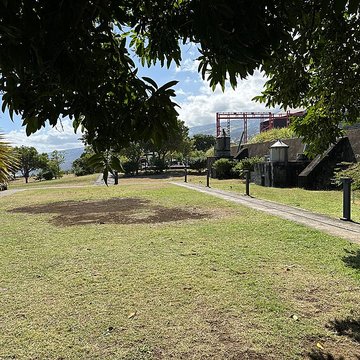 Muséum Agricole et industriel - Stella matutina