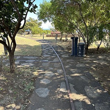 Muséum Agricole et industriel - Stella matutina