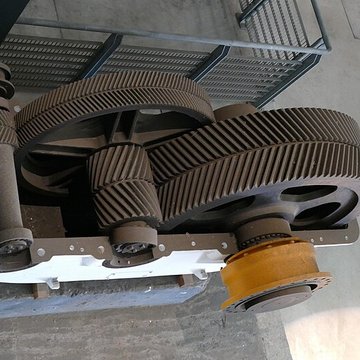 Muséum Agricole et industriel - Stella matutina