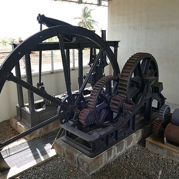 Muséum Agricole et industriel - Stella matutina