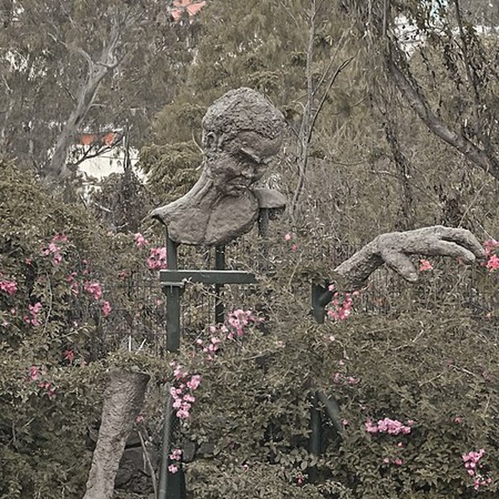 Photo de Musée de Villèle