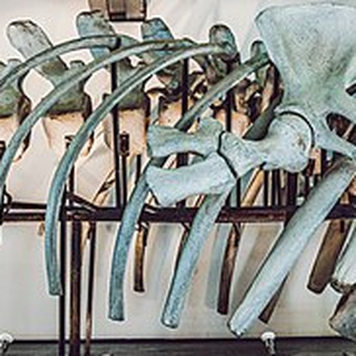 Photo de MuMa - Musée de Mayotte