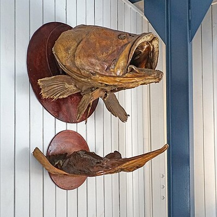 Photo de MuMa - Musée de Mayotte