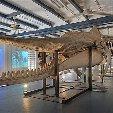 MuMa - Musée de Mayotte