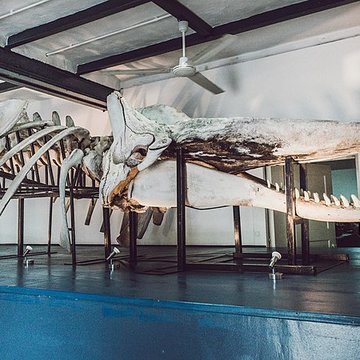 MuMa - Musée de Mayotte