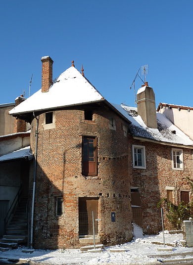 Photo de Tours Saint-Pierre-et-Saint-Paul de Louhans