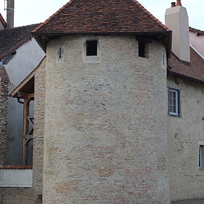 Photo de Tours Saint-Pierre-et-Saint-Paul de Louhans