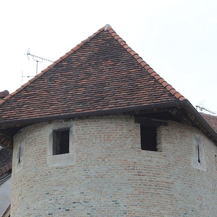 Photo de Tours Saint-Pierre-et-Saint-Paul de Louhans