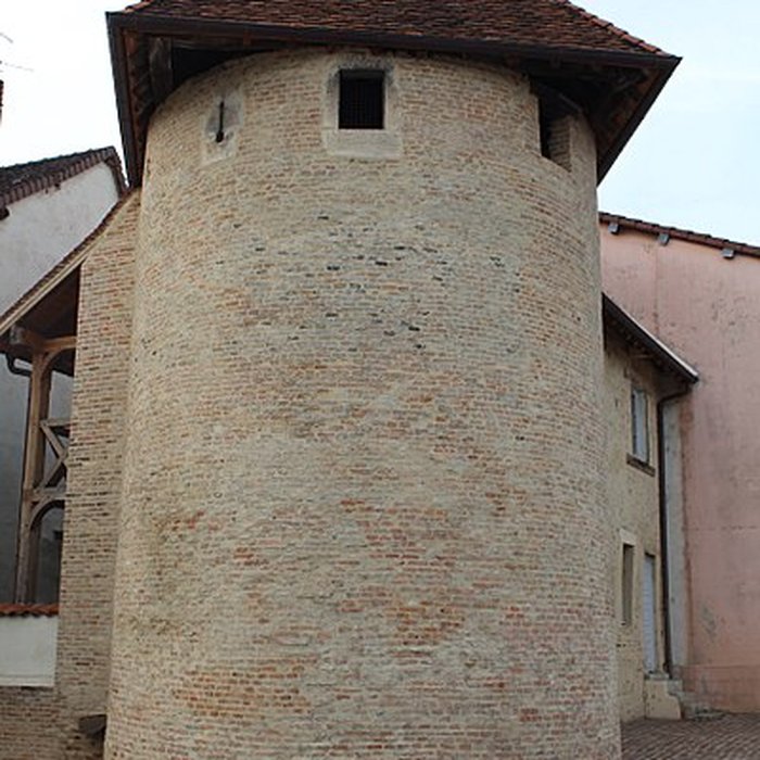 Photo de Tours Saint-Pierre-et-Saint-Paul de Louhans